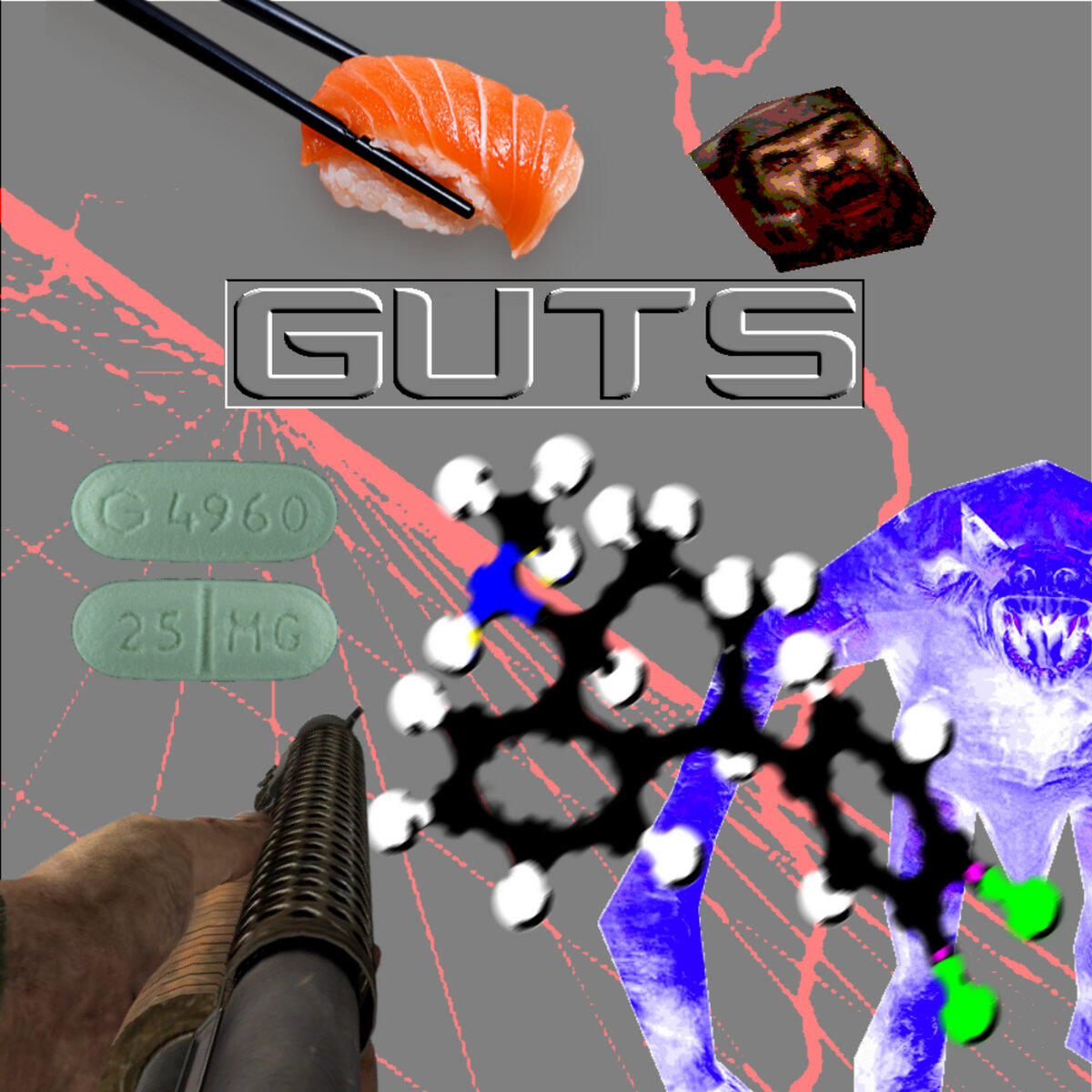 G U T S